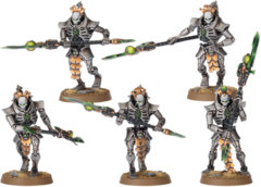 Necron Lychguard / Triarch Praetorians 49-07